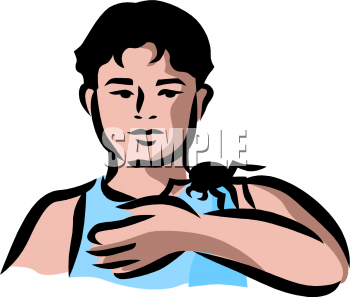 Arachnid Clipart