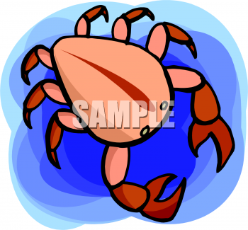 Fish and Sea Life Clipart