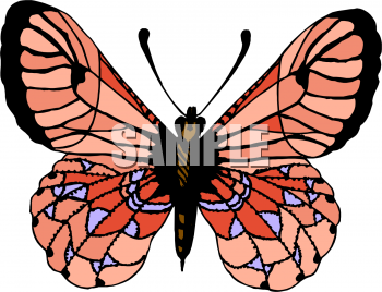 Insect Clipart