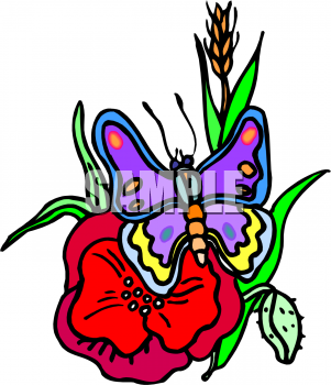 Insect Clipart
