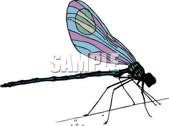 Dragonfly+clipart+images