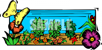 Insect Clipart