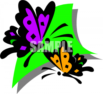Insect Clipart