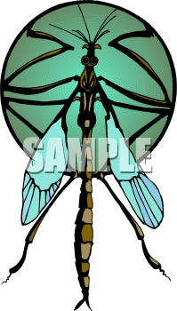 Free+dragonfly+artwork