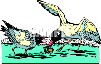 Bird Clipart