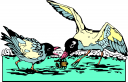 Bird Clipart