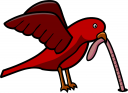 Invertebrates Clipart