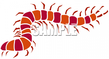 Invertebrates Clipart