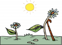 Invertebrates Clipart