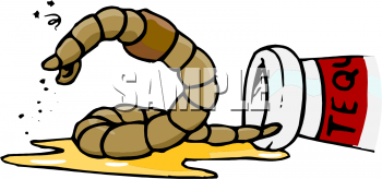 Invertebrates Clipart