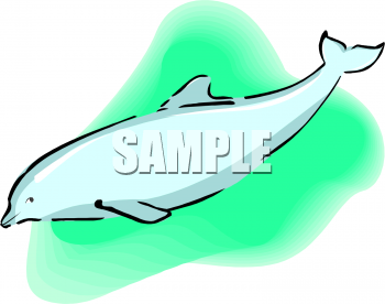 Fish and Sea Life Clipart