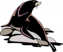 Big Cat Clipart