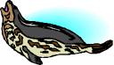Big Cat Clipart