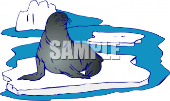 Fish and Sealife Clipart