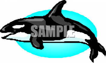 Fish and Sea Life Clipart