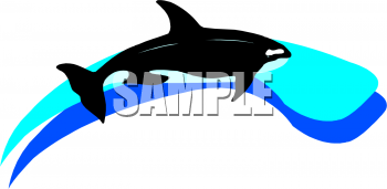 Fish and Sea Life Clipart
