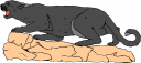Big Cat Clipart