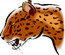 Big Cat Clipart