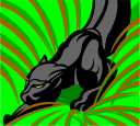 Big Cat Clipart
