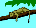Big Cat Clipart