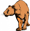 Big Cat Clipart