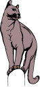 Big Cat Clipart