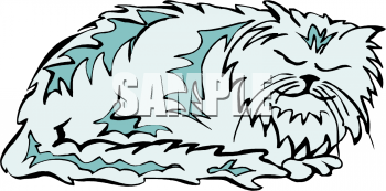 Pet Clipart