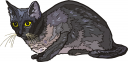 Pet Clipart