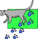 Pet Clipart