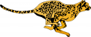 Big Cat Clipart