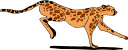 Big Cat Clipart