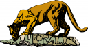 Big Cat Clipart
