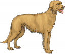 Pet Clipart