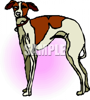Dog Clipart