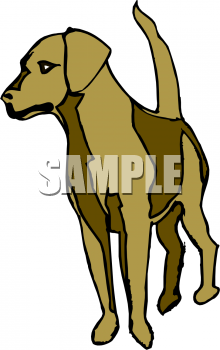 Dog Clipart