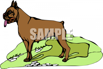 Pet Clipart