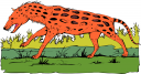 Animal Clipart