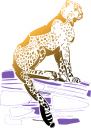Big Cat Clipart