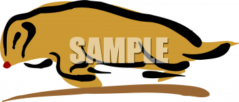 Fish and Sealife Clipart