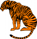 Big Cat Clipart