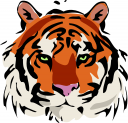 Big Cat Clipart