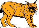 Big Cat Clipart