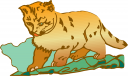 Big Cat Clipart