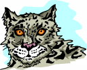 Big Cat Clipart