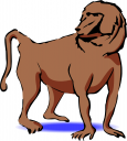 Primate Clipart