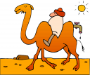 Camel Clipart