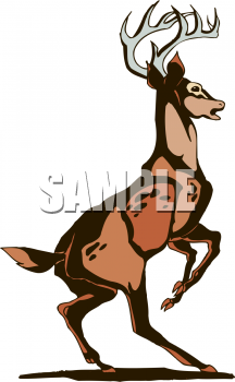Deer Clipart