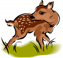 Deer Clipart