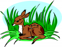 Deer Clipart