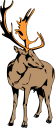 Deer Clipart
